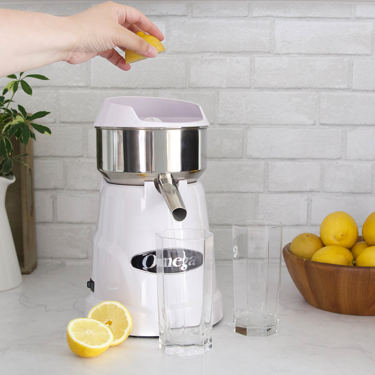 Omega C-10W Single Speed Citrus Juicer, in White