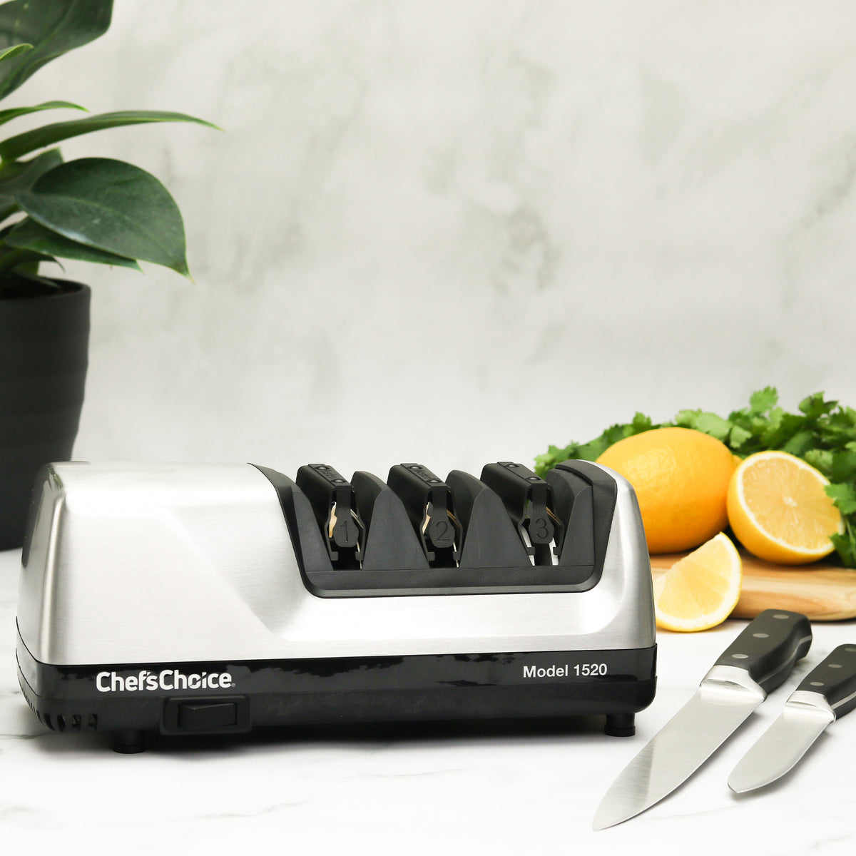 Chef's Choice 1520 AngleSelect Professional Electric Knife Sharpener, in Brushed Metal (0115207)