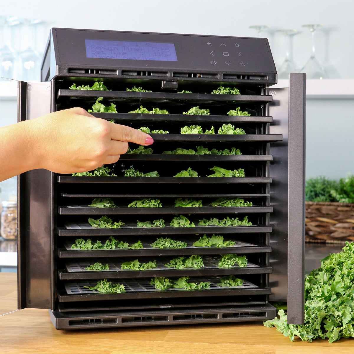 Excalibur RES10 10-Tray Dual-Zone Food Dehydrator with Digital Control, in Black