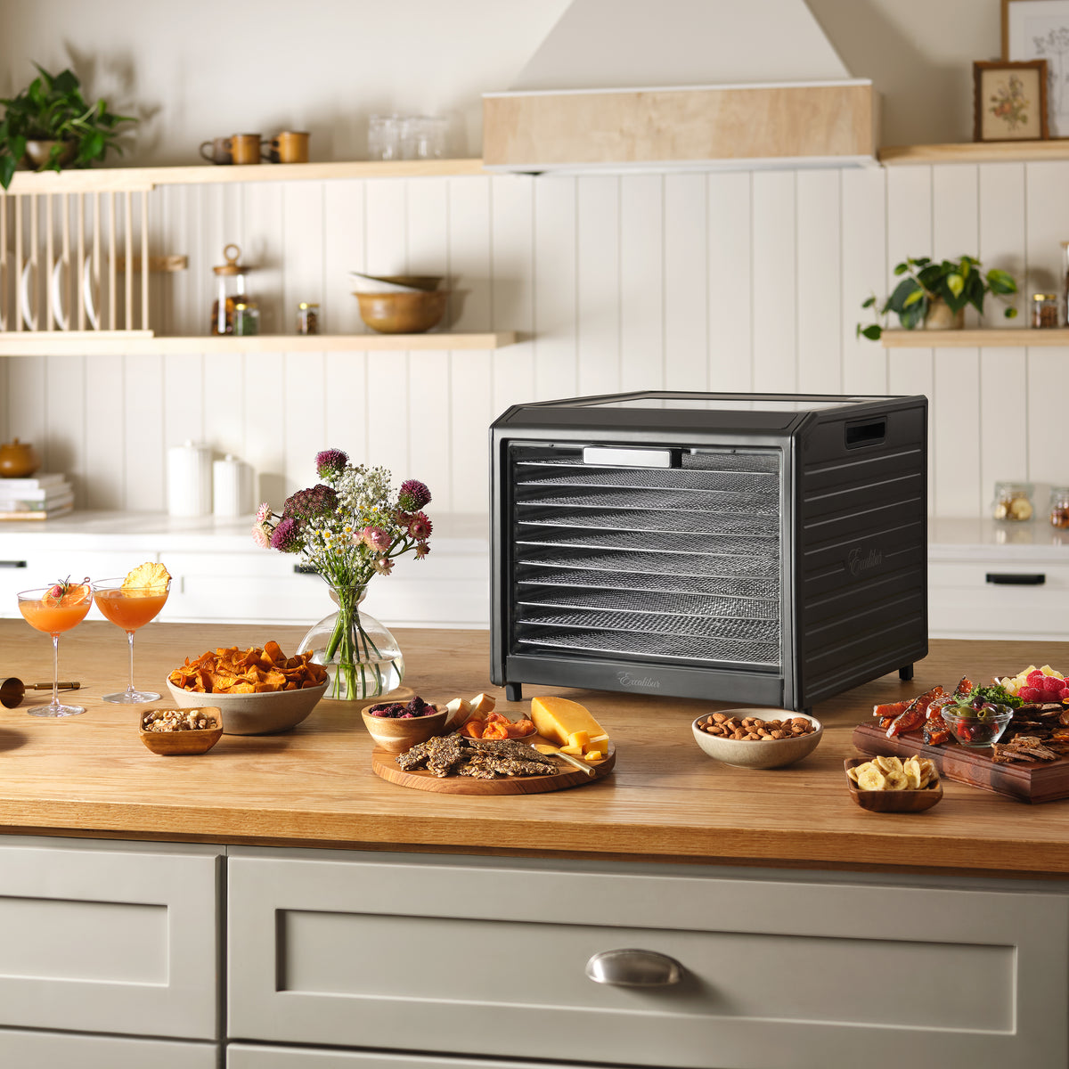 Excalibur DH10SS 10 Tray Performance Digital Dehydrator, in Stainless Steel (DH10SSSS13)