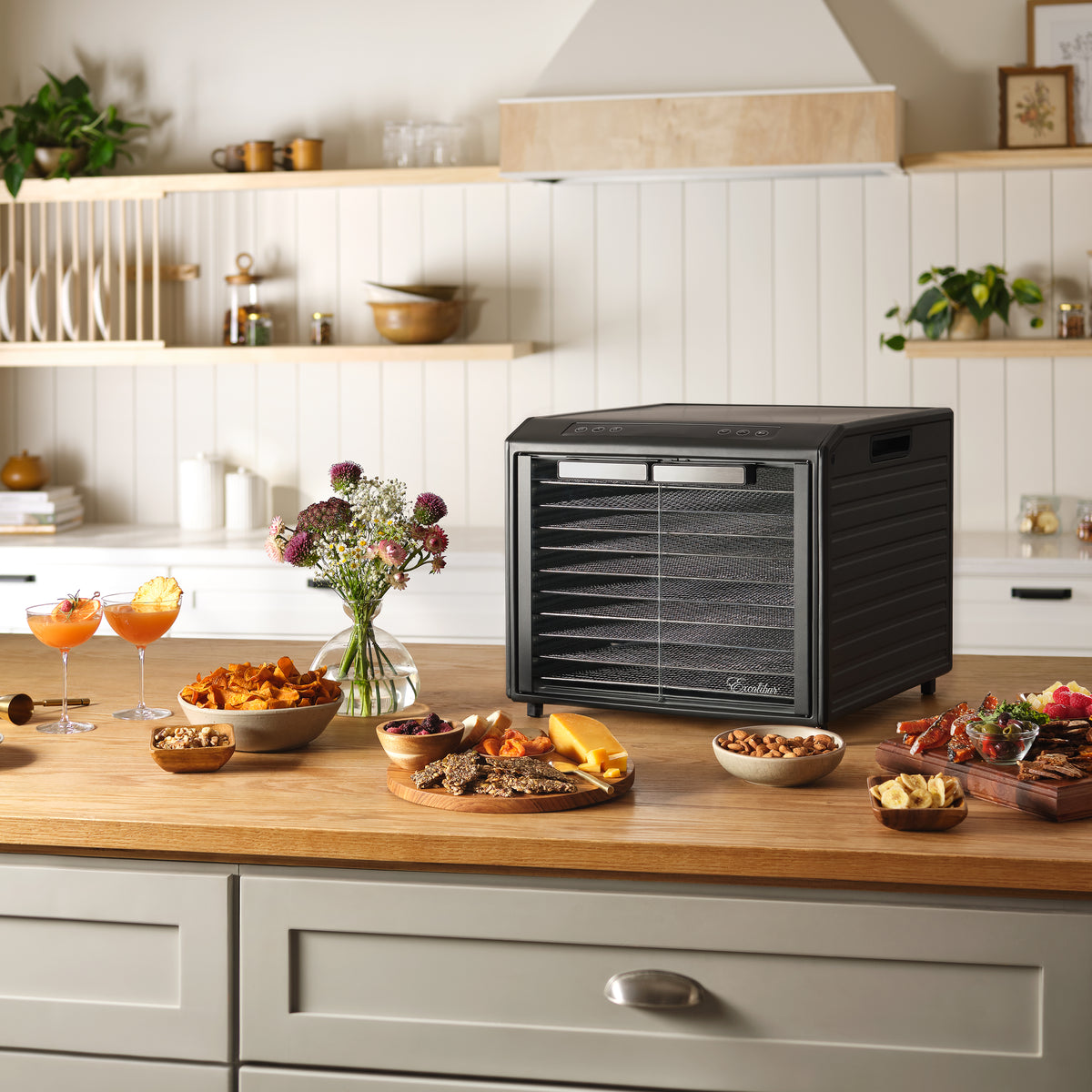 Excalibur DH10SC 10 Tray Select Digital Dehydrator, in Stainless Steel (DH10SCSS13)