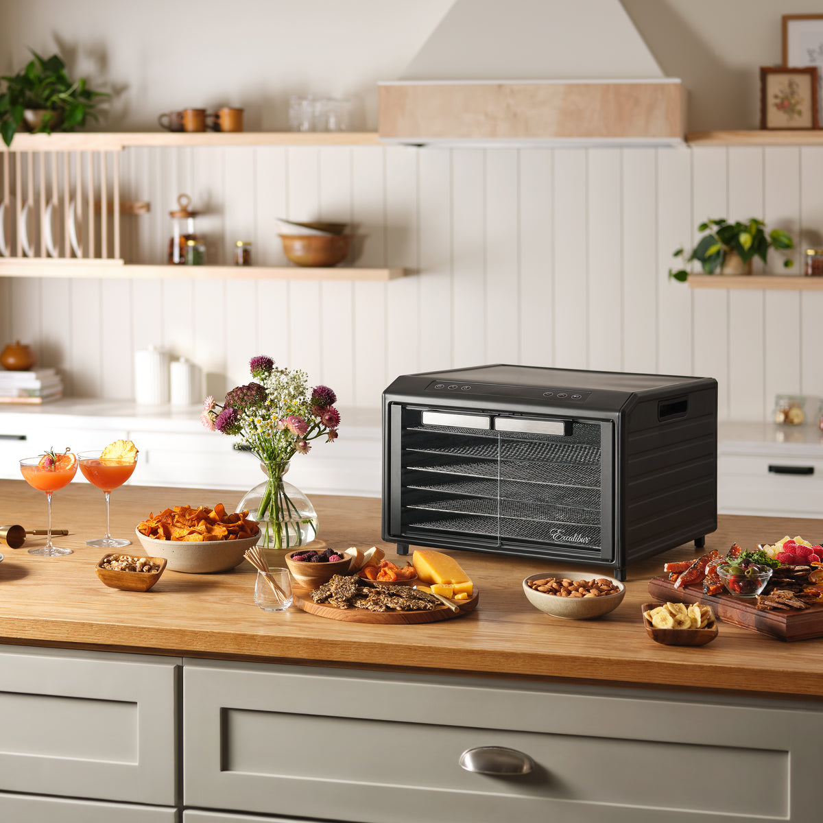 Excalibur DH06SC 6 Tray Select Digital Dehydrator, in Stainless Steel (DH06SCSS13)