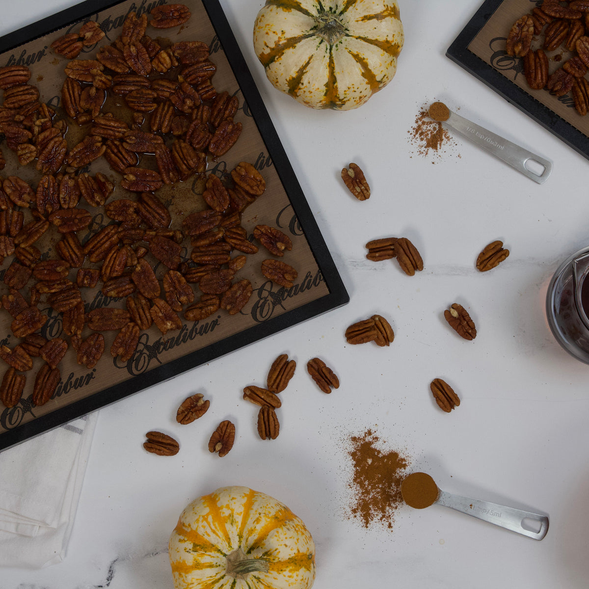 Excalibur PFP14 ParaFlexx Reusable Non-Stick Drying Sheets for Food Dehydrators, Set of 4 (ACPF14BR22)