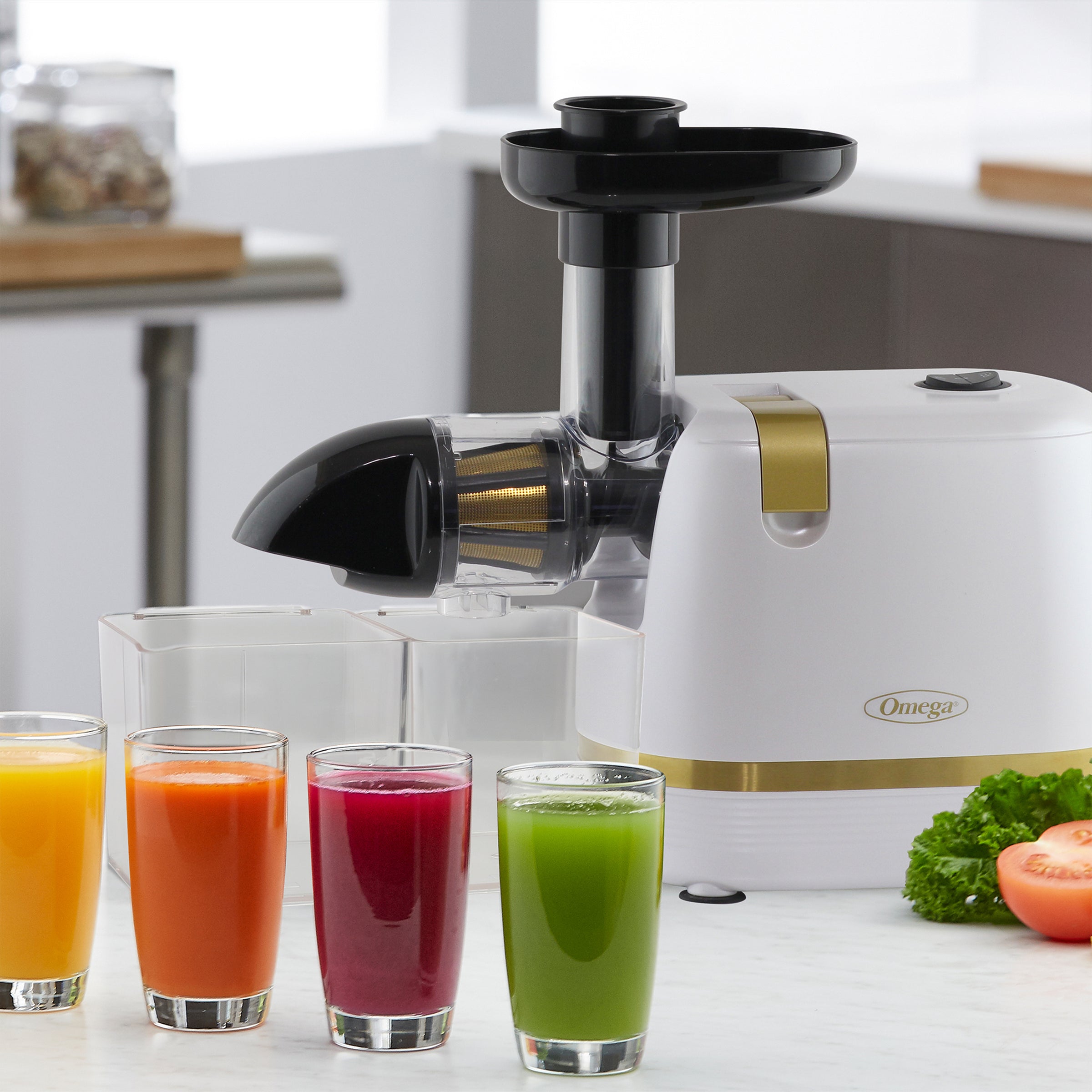 Omega H3000 Cold Press 365 Compact Masticating Horizontal Juicer, 150W
