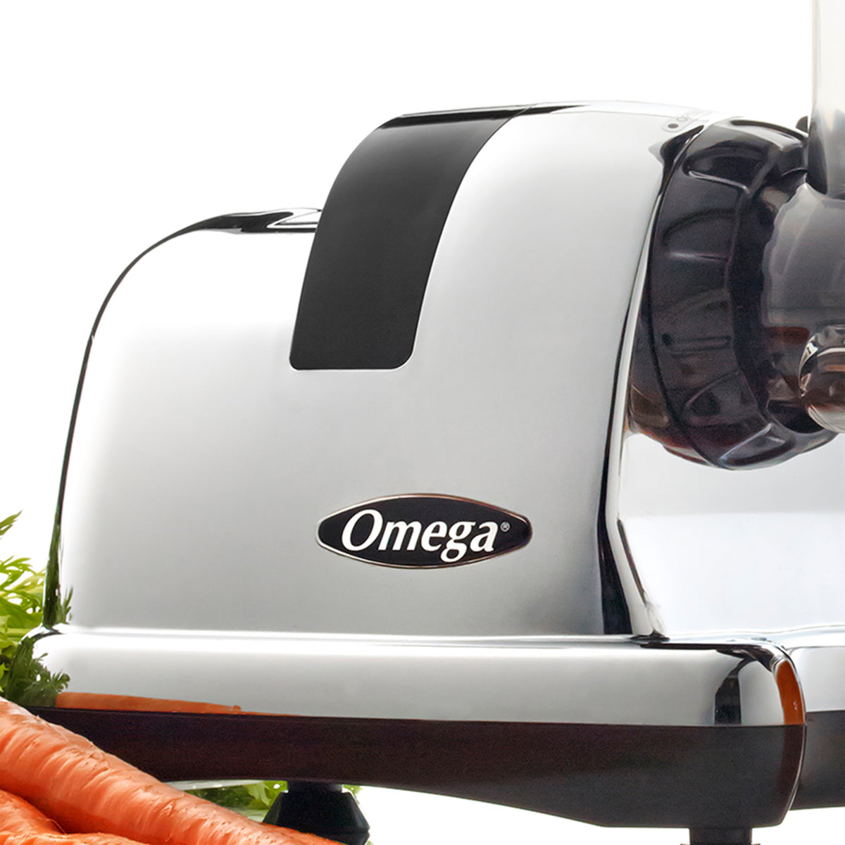 Omega J8006 J8006HDC Chrome 200-Watt Cold Press Masticating Slow Juicer With 3-Stage Auger