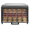 Excalibur DH06SS 6 Tray Performance Digital Dehydrator, in Stainless Steel (DH06SSSS13) - TheChefStore.Com