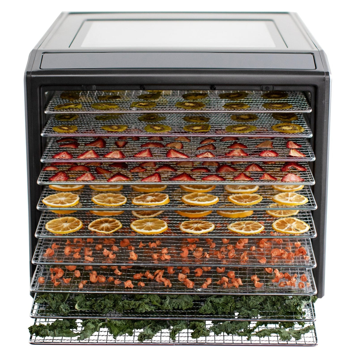 Excalibur DH10SS 10 Tray Performance Digital Dehydrator, in Stainless Steel (DH10SSSS13) - TheChefStore.Com